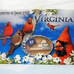 VIRGINIA ICONS

MG331